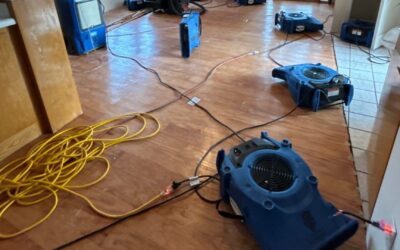 Water Damage Restoration in Seattle, WA: What Homeowners Should Know