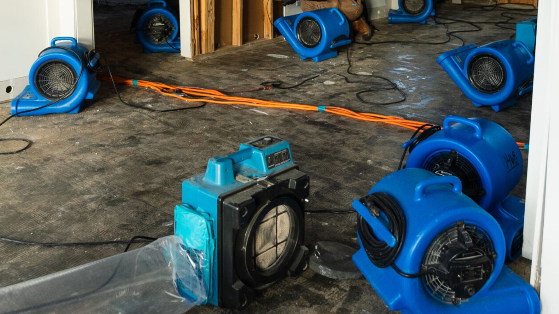 water damage restoration