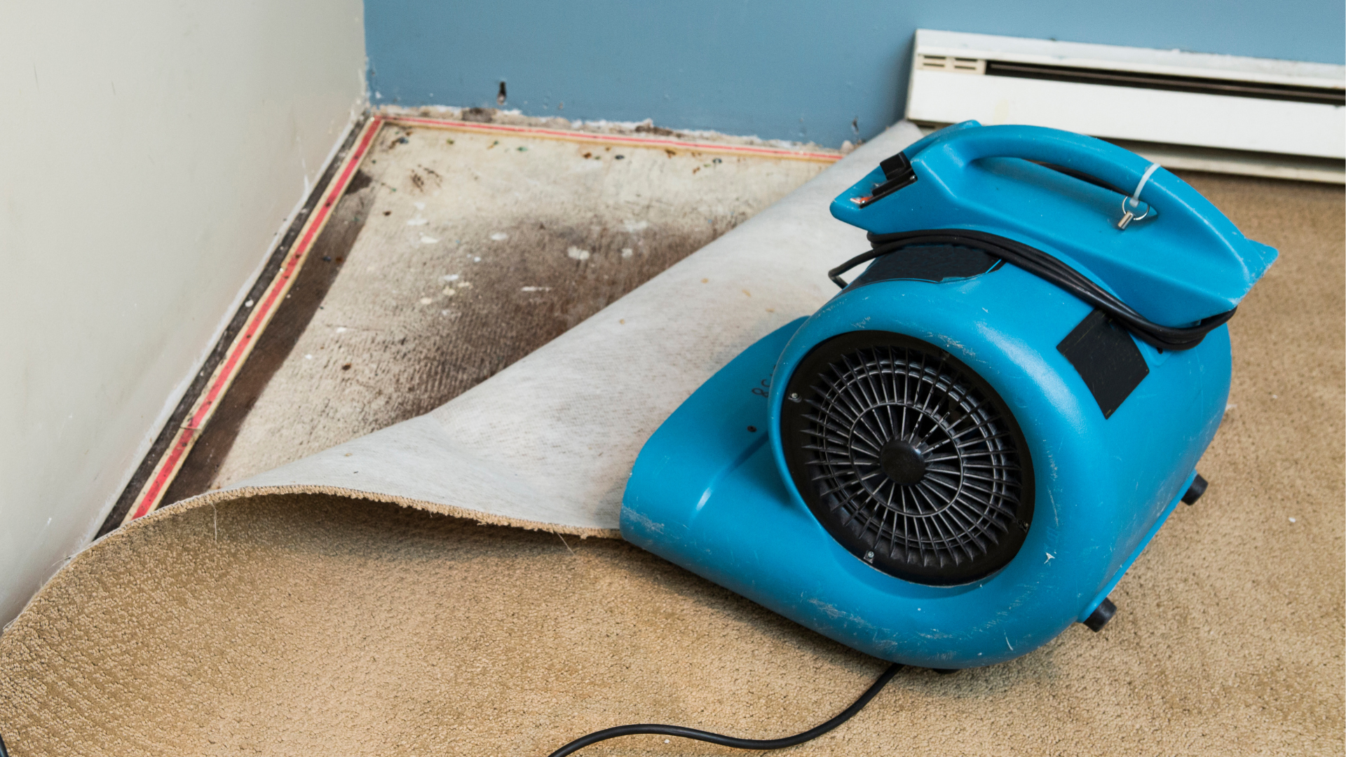 water damage restoration near me