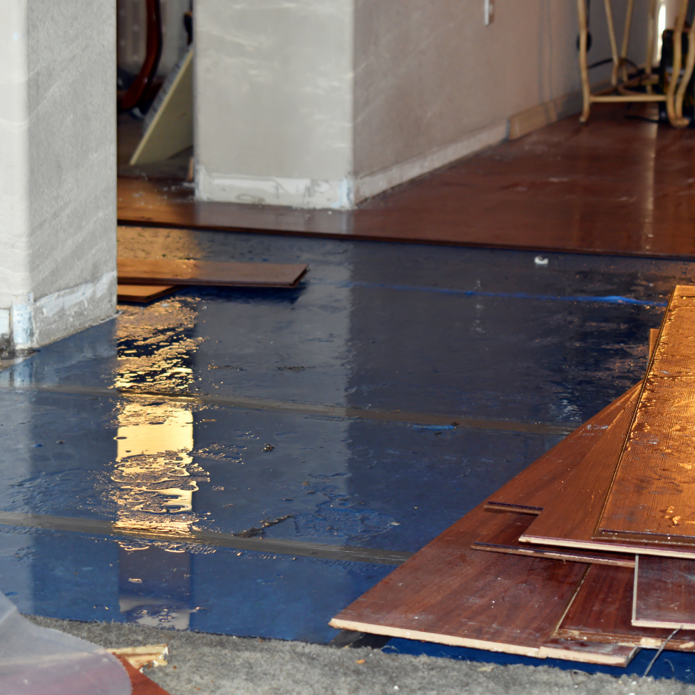 New England Pressure Cleaning